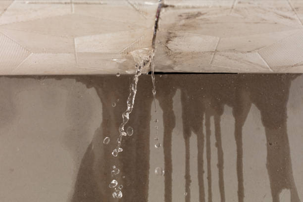 Professional Water Damage Repair technician working in Dripping Springs, TX